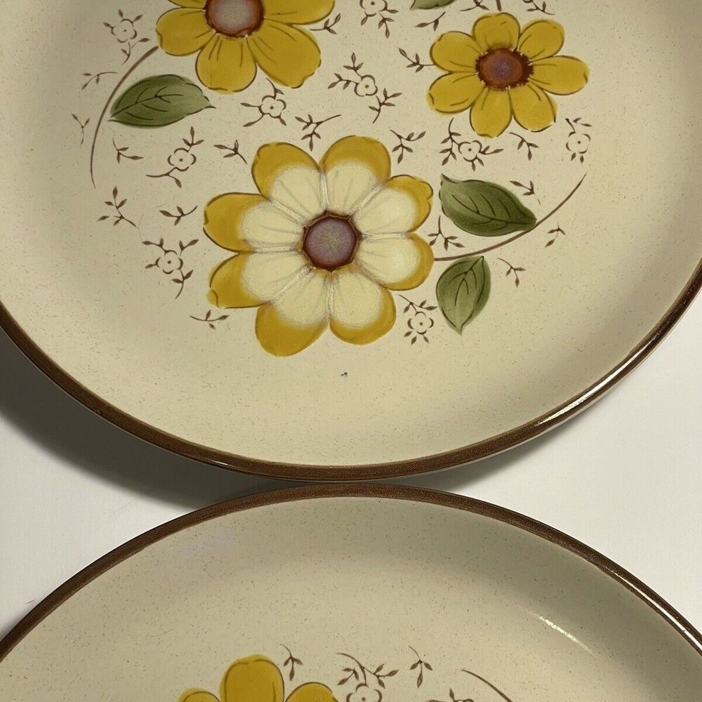 2 Vintage authentic stoneware dinner plates retro floral design 1970 Sunshine